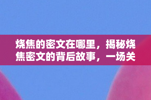 烧焦的密文在哪里，揭秘烧焦密文的背后故事，一场关于真相与勇气的较量