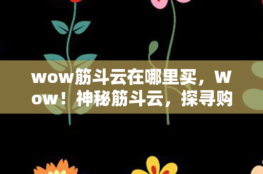 wow筋斗云在哪里买，Wow！神秘筋斗云，探寻购买之门