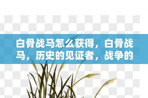 白骨战马怎么获得，白骨战马，历史的见证者，战争的传奇