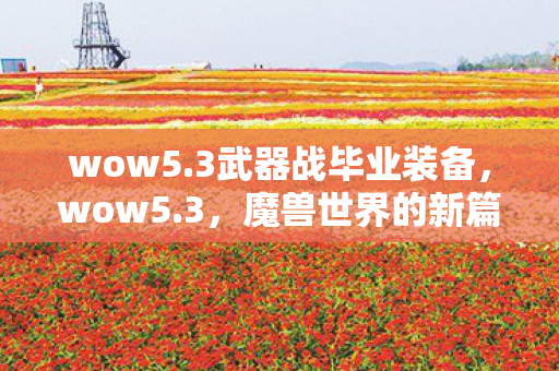 wow5.3武器战毕业装备，wow5.3，魔兽世界的新篇章，玩家的狂欢盛宴