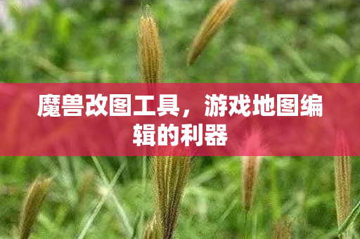 魔兽改图工具，游戏地图编辑的利器