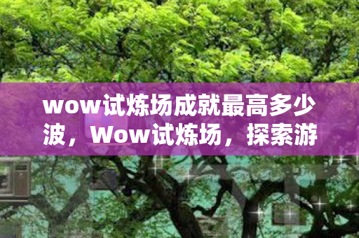 wow试炼场成就最高多少波，Wow试炼场，探索游戏世界的无尽挑战与荣耀
