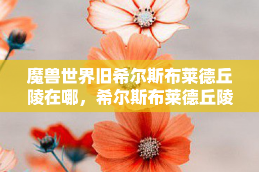 魔兽世界旧希尔斯布莱德丘陵在哪，希尔斯布莱德丘陵，探索未知的神秘之地