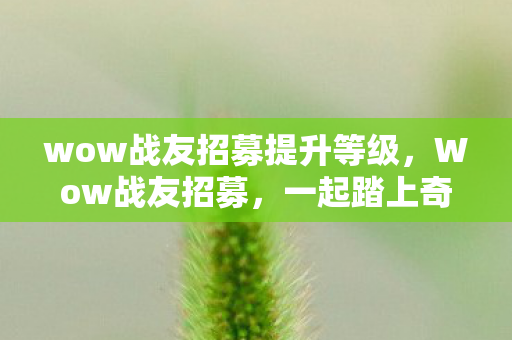 wow战友招募提升等级，Wow战友招募，一起踏上奇幻之旅！