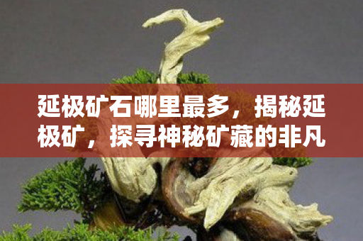 延极矿石哪里最多，揭秘延极矿，探寻神秘矿藏的非凡之旅