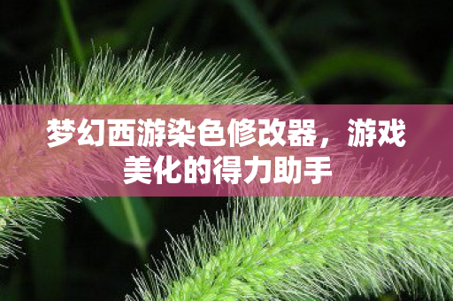 梦幻西游染色修改器，游戏美化的得力助手