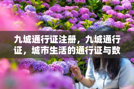 九城通行证注册，九城通行证，城市生活的通行证与数字化管理的探索