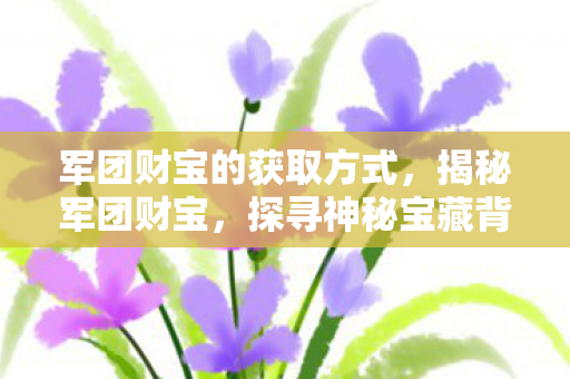 军团财宝的获取方式，揭秘军团财宝，探寻神秘宝藏背后的故事