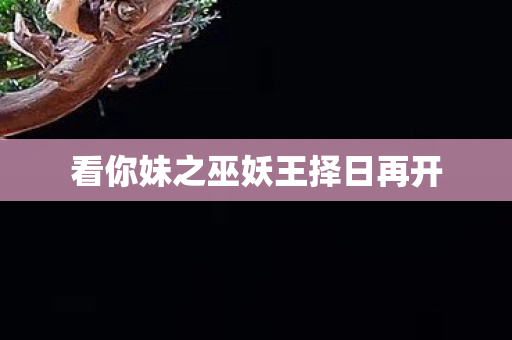 看你妹之巫妖王择日再开
