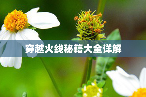 穿越火线秘籍大全详解