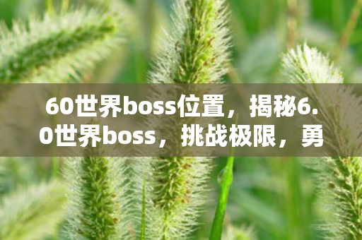 60世界boss位置，揭秘6.0世界boss，挑战极限，勇攀高峰！