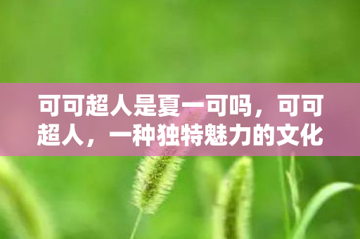 可可超人是夏一可吗，可可超人，一种独特魅力的文化现象