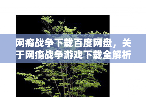 网瘾战争下载百度网盘，关于网瘾战争游戏下载全解析