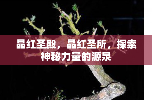 晶红圣殿，晶红圣所，探索神秘力量的源泉