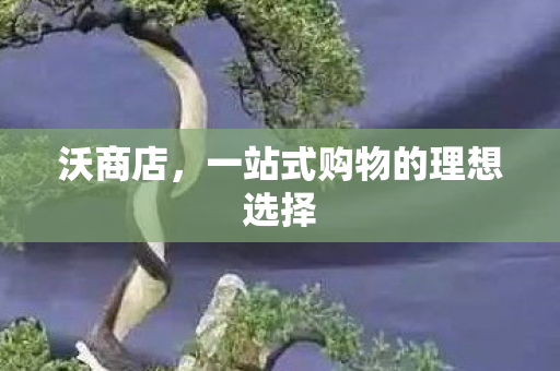 沃商店，一站式购物的理想选择