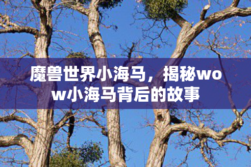 魔兽世界小海马，揭秘wow小海马背后的故事