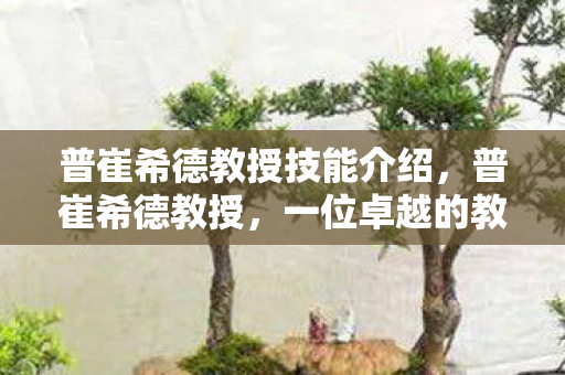 普崔希德教授技能介绍，普崔希德教授，一位卓越的教育家与科研先锋的传奇人生