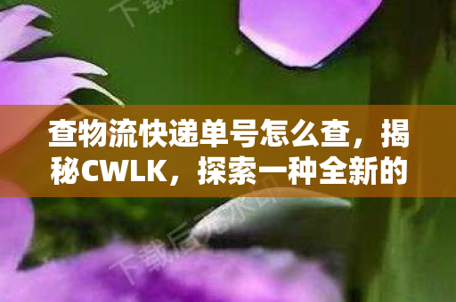 查物流快递单号怎么查，揭秘CWLK，探索一种全新的生活方式