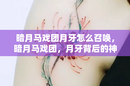 暗月马戏团月牙怎么召唤，暗月马戏团，月牙背后的神秘故事