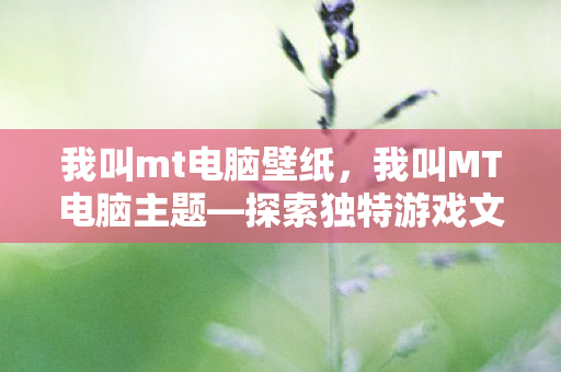 我叫mt电脑壁纸，我叫MT电脑主题—探索独特游戏文化的魅力所在