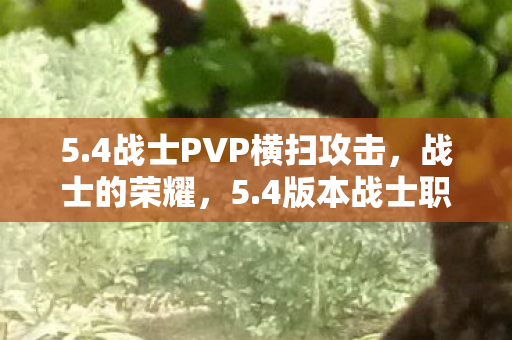 5.4战士PVP横扫攻击，战士的荣耀，5.4版本战士职业全面解析