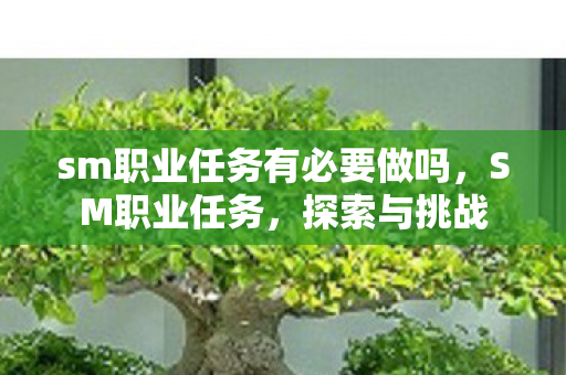 sm职业任务有必要做吗，SM职业任务，探索与挑战