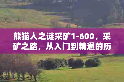 熊猫人之谜采矿1-600，采矿之路，从入门到精通的历程（1-600级）