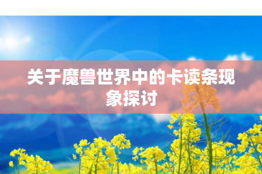 关于魔兽世界中的卡读条现象探讨