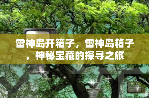 雷神岛开箱子，雷神岛箱子，神秘宝藏的探寻之旅