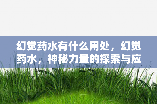 幻觉药水有什么用处，幻觉药水，神秘力量的探索与应用