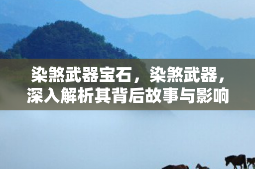 染煞武器宝石，染煞武器，深入解析其背后故事与影响