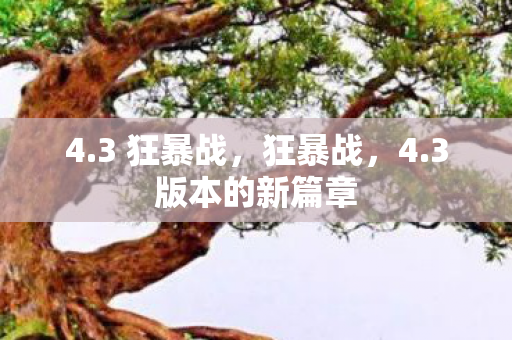 4.3 狂暴战，狂暴战，4.3版本的新篇章