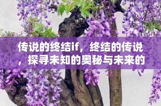 传说的终结if，终结的传说，探寻未知的奥秘与未来的希望