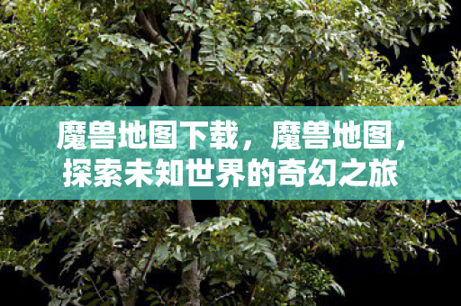 魔兽地图下载，魔兽地图，探索未知世界的奇幻之旅