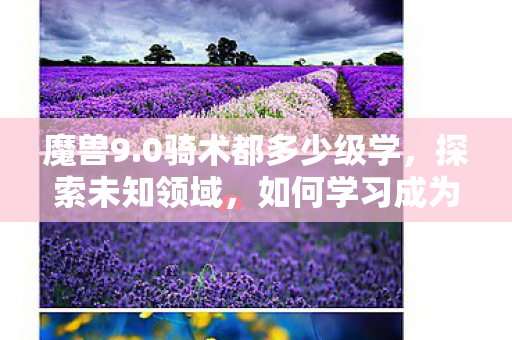 魔兽9.0骑术都多少级学，探索未知领域，如何学习成为一位骑术高手—以成为90级骑术大师为目标