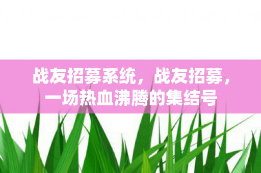 战友招募系统，战友招募，一场热血沸腾的集结号