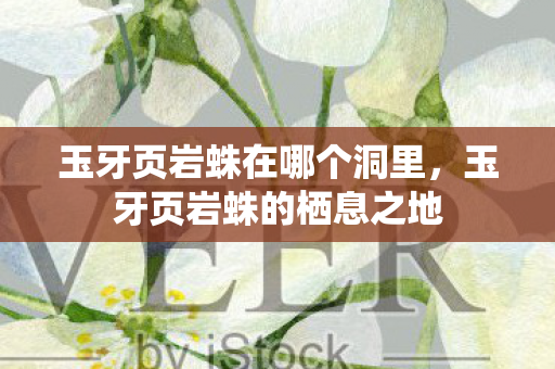 玉牙页岩蛛在哪个洞里，玉牙页岩蛛的栖息之地