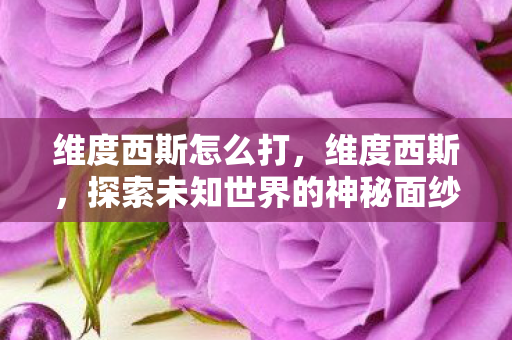 维度西斯怎么打，维度西斯，探索未知世界的神秘面纱