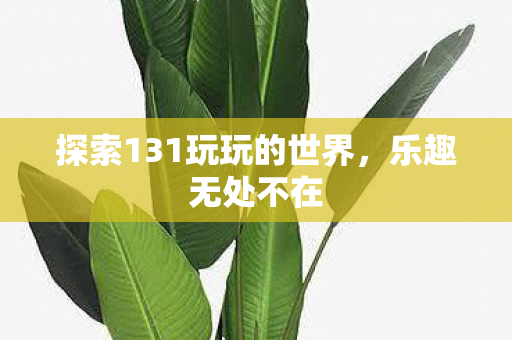 探索131玩玩的世界，乐趣无处不在