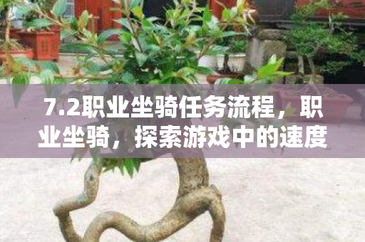 7.2职业坐骑任务流程，职业坐骑，探索游戏中的速度与力量