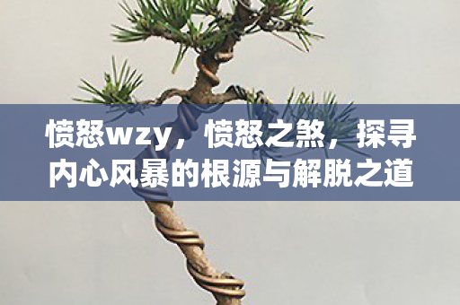 愤怒wzy，愤怒之煞，探寻内心风暴的根源与解脱之道