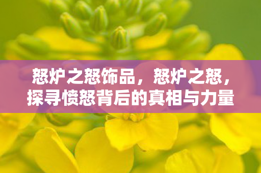 怒炉之怒饰品，怒炉之怒，探寻愤怒背后的真相与力量