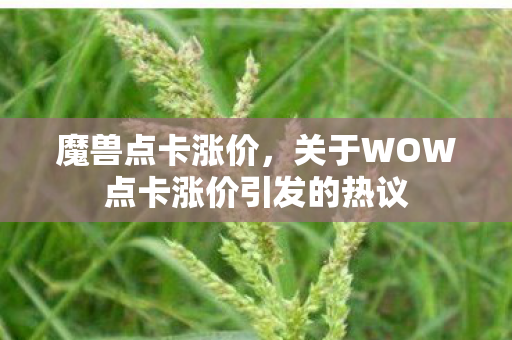 魔兽点卡涨价，关于WOW点卡涨价引发的热议