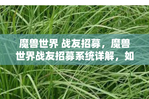 魔兽世界 战友招募，魔兽世界战友招募系统详解，如何快速集结你的游戏盟友？