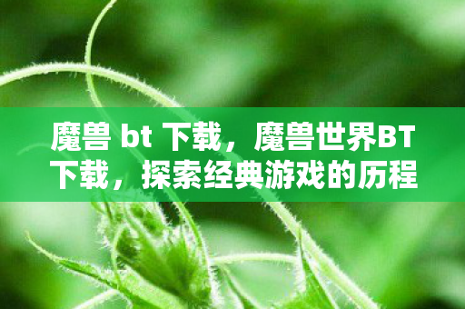 魔兽 bt 下载，魔兽世界BT下载，探索经典游戏的历程与体验