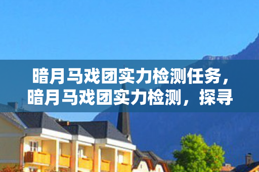 暗月马戏团实力检测任务，暗月马戏团实力检测，探寻隐藏的实力与未知的魅力
