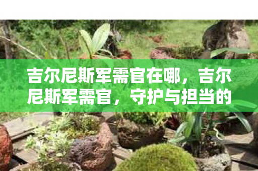 吉尔尼斯军需官在哪，吉尔尼斯军需官，守护与担当的传奇人物