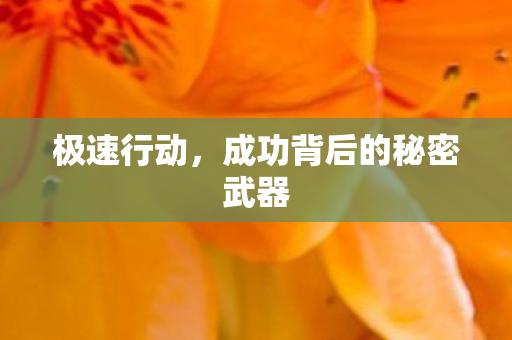 极速行动，成功背后的秘密武器