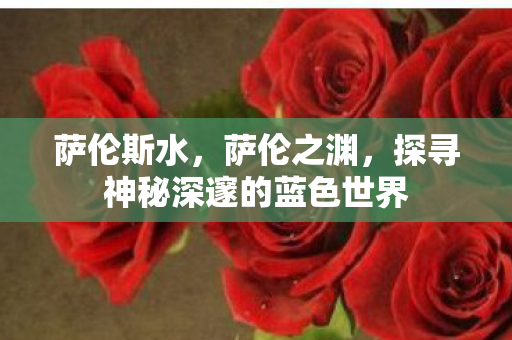 萨伦斯水，萨伦之渊，探寻神秘深邃的蓝色世界