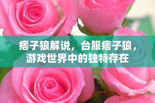 痞子狼解说，台服痞子狼，游戏世界中的独特存在